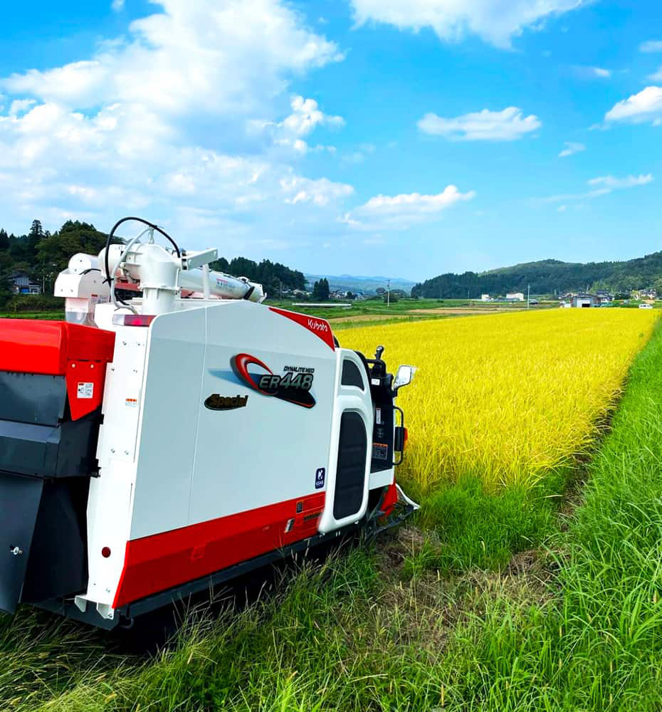 富山県氷見市久目地区の水田風景14