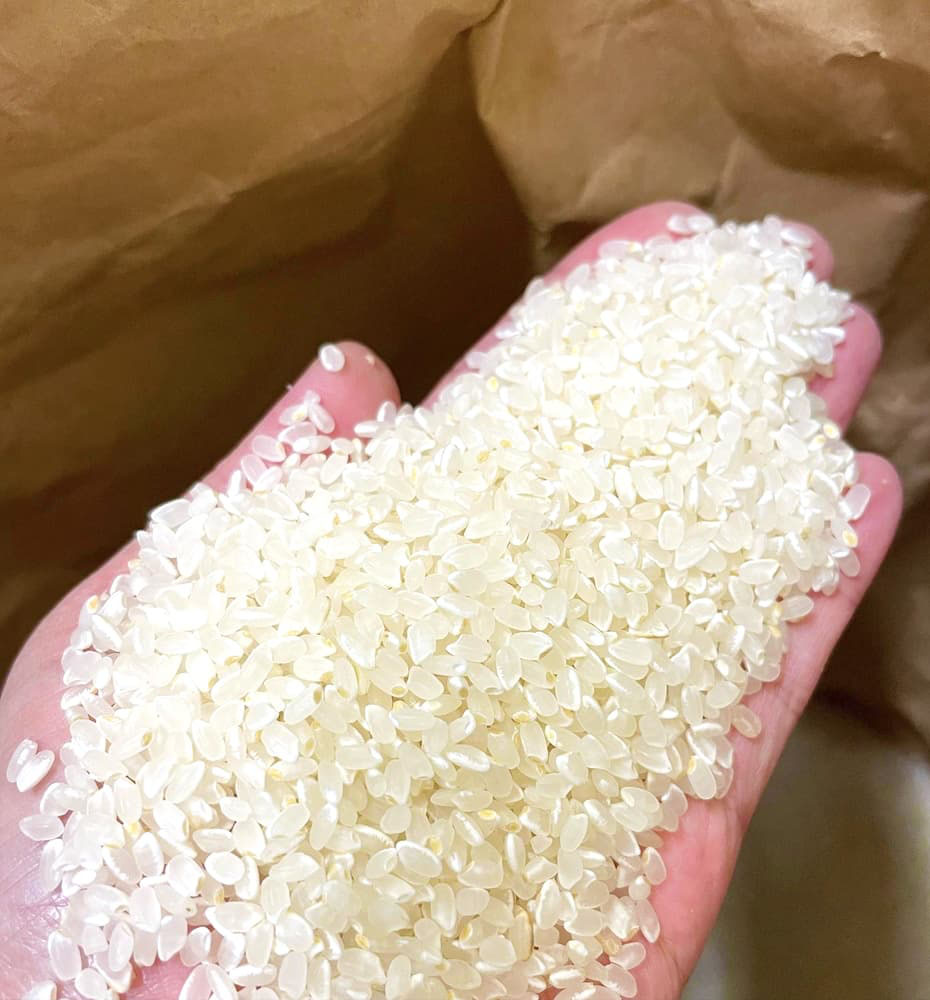 富山県氷見市久目地区の水田風景17