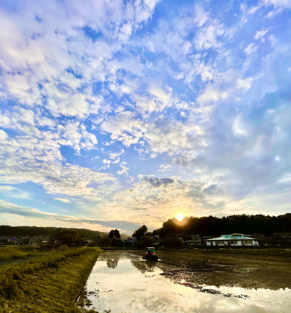 富山県氷見市久目地区の水田風景2