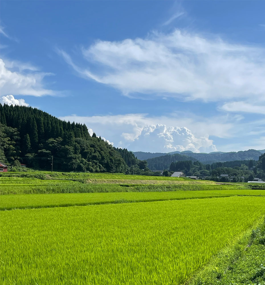 富山県氷見市久目地区の水田風景5
